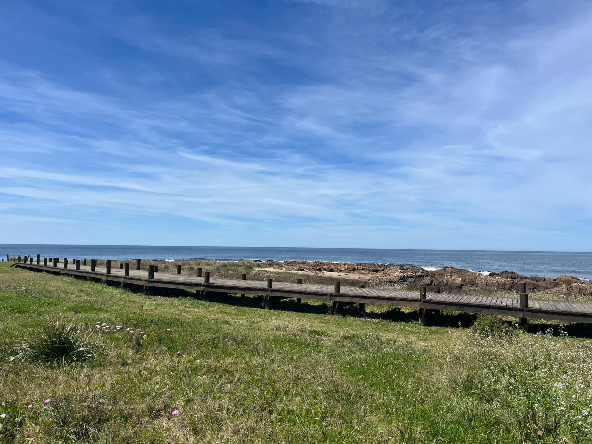 Único lote, a metros del Mar.
Descubre la oportunidad de construir el hogar de tus sueños a tan solo 20 metros de la playa en La Barra.
Esta excepcional propiedad de 1000 m² te ofrece un lienzo en blanco para diseñar el espacio que siempre has deseado, rodeado de la belleza natural y la tranquilidad que solo el océano puede brindar.
Características destacadas:
- Ubicación privilegiada: A pasos del mar, ideal para disfrutar de la brisa marina y los amaneceres y atardeceres inolvidables.
- Amplio terreno: 1000 m² que te permiten desarrollar un proyecto a medida, ya sea una casa de vacaciones, un refugio permanente o una inversión con gran potencial.
Lote de 20 mts2 de frente con un fondo de 50 mts2.
No dejes pasar esta oportunidad única de vivir en uno de los destinos más deseados de la costa uruguaya. Consulta con nuestros asesores.