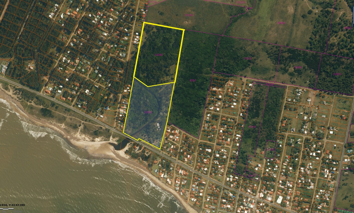 Escapa a la Naturaleza: Excelente Chacra Marítima en Las Flores, Piriápolis. 

Descubra un rincón de tranquilidad en la encantadora Chacra de Las Flores, ubicada en el corazón de Piriápolis. En su mayor parte arbolada, con su propio arroyo que serpentea desde el fondo del terreno y acaba en el mar.
Este terreno de 10 hectáreas es el lienzo perfecto para dar vida a su proyecto soñado, ya sea para un proyecto, un refugio de fin de semana o su hogar permanente rodeado de naturaleza.

Situado a 89 km de Montevideo, a sólo 10 km de Piriápolis y a 45 km de Punta del Este.
Terreno ideal para los amantes de la naturaleza, con flora y fauna autóctonas, situado entre las sierras y el mar.
Interesante para los emigrantes inversionistas. Esta tierra puede ser utilizada para la agricultura forestación, así como para la construcción. 
Adecuada para la agricultura ecológica, la cría de animales, el loteado, la construcción de casas, el turismo, camping, etc...

Datos importantes:
- 2 casas de 1 dormitorio, baño, cocina comedor y deck.
- 1 construcción con porche.
- 2 construcciones con varios baños y duchas.
- 6 cabañas de madera.
- Ubicado frente a la carretera (Ruta 10) y frente al mar.
- Belleza natural, cercanía a las sierras, aves y animales nativos.

Imagine las posibilidades: un jardín exuberante, un espacio de descanso o incluso un pequeño huerto.

Ubicada en una zona de fácil acceso y rodeada de paisajes que invitan a la relajación, esta chacra es una oportunidad única para quienes buscan un estilo de vida más conectado con la naturaleza.

No deje pasar esta oportunidad. Consulte con nuestros asesores.