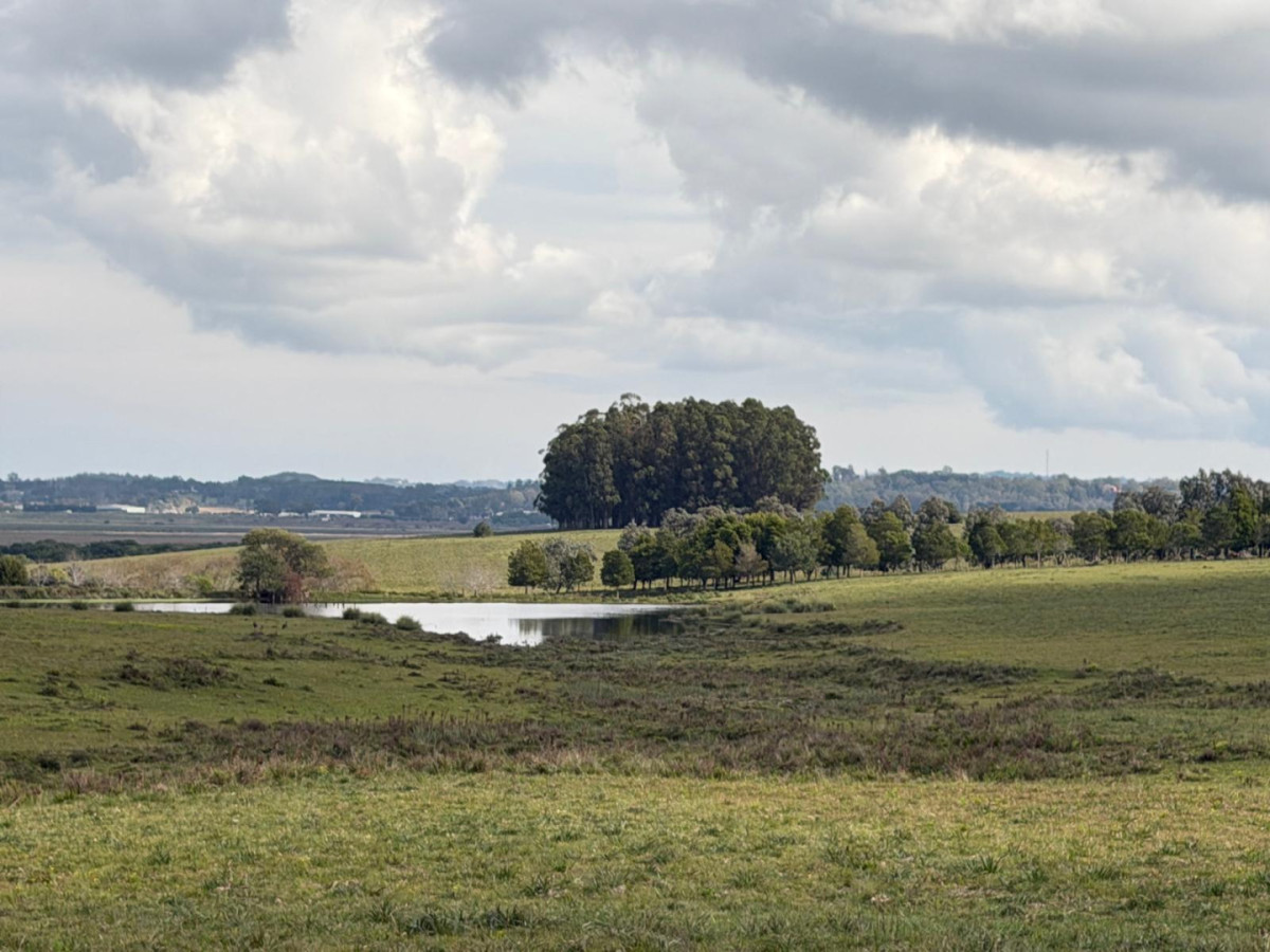 Excelente campo de 63 hectáreas ubicado sobre Camino Cerro Eguzquiza, en una de las zonas de mayor desarrollo y valorización del departamento de Maldonado.

La propiedad se encuentra lindera al reconocido complejo Fasano Las Piedras y a pocos minutos del barrio privado El Quijote, con rápido acceso a La Barra, Manantiales, Punta del Este y San Carlos.

Cuenta con un entorno natural privilegiado, caracterizado por suaves ondulaciones, amplias vistas panorámicas y excelente privacidad. 
Su superficie y ubicación ofrecen múltiples posibilidades de uso, tanto para explotación agropecuaria como para proyectos turísticos, desarrollo de chacras o inversión patrimonial a largo plazo.

Una oportunidad única para adquirir una importante fracción de campo en un área estratégica, donde la naturaleza y el crecimiento de la zona generan un atractivo diferencial y un gran potencial de valorización.

Consulte por más información y coordine su visita