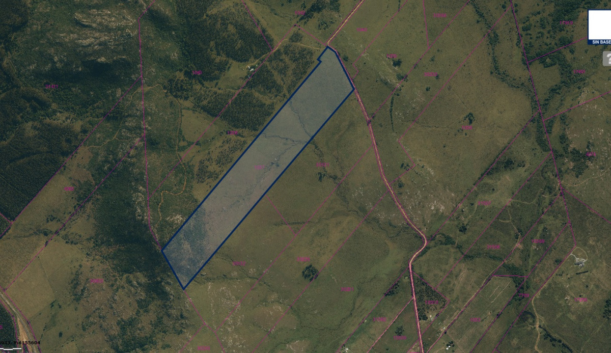 Hermoso Campo de 33 hectáreas

Descubre un exclusivo campo ganadero a solo 4 km de Pan de Azúcar, donde la tranquilidad y la naturaleza se entrelazan en un entorno privilegiado. Este terreno ofrece una oportunidad única para aquellos que buscan un espacio para desarrollar su proyecto agrícola o ganadero, o simplemente un lugar para desconectar y disfrutar de la belleza del paisaje uruguayo.

Con acceso a rutas principales y servicios cercanos, esta propiedad combina la serenidad del campo con la comodidad de la cercanía a la ciudad. 
Su topografía y recursos naturales son ideales para la cría de ganado y el cultivo, brindando un potencial significativo para inversionistas y emprendedores.

Ultimo padrón disponible:
Padrón 1037 con 33 hectáreas y 4593mts2. Índice de productividad CONEAT 77

Campo natural mejorado con Lotus y Holcus potrerizado aguadas y sombra.

No dejes pasar esta oportunidad de invertir en un estilo de vida auténtico y sostenible. Consulta con nuestros asesores para más información y descubre cómo este campo puede convertirse en tu próximo gran proyecto.