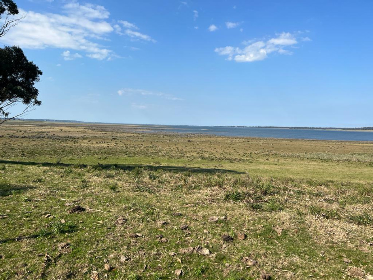 ESPECTACULAR CHACRA SOBRE LAGUNA DE JOSE IGNACIO

1400mts de costa sobre la laguna.
30 hectáreas totales.

Padrón 40787 - 15 hectáreas 
Padrón 40788 - 10 hectáreas
Padrón 40789 - 5 hectáreas

Se venden Juntas.

Se llega a través de una servidumbre de paso. 


Por mas información, consulte con nuestros asesores. 