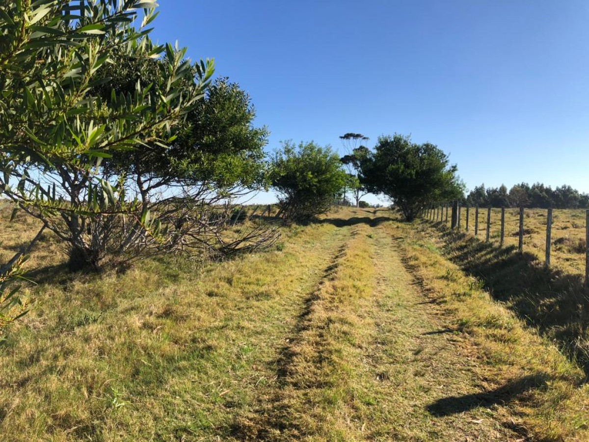 Hermoso campo a 8 km del Puente de Laguna Garzón.

Se encuentra en el km 201 a 150mts de la Ruta 10 apróx.

Desde una punta del campo se puede apreciar el Mar y desde la otra, la Laguna Garzón.

Por mas información, consulte con nuestros asesores.