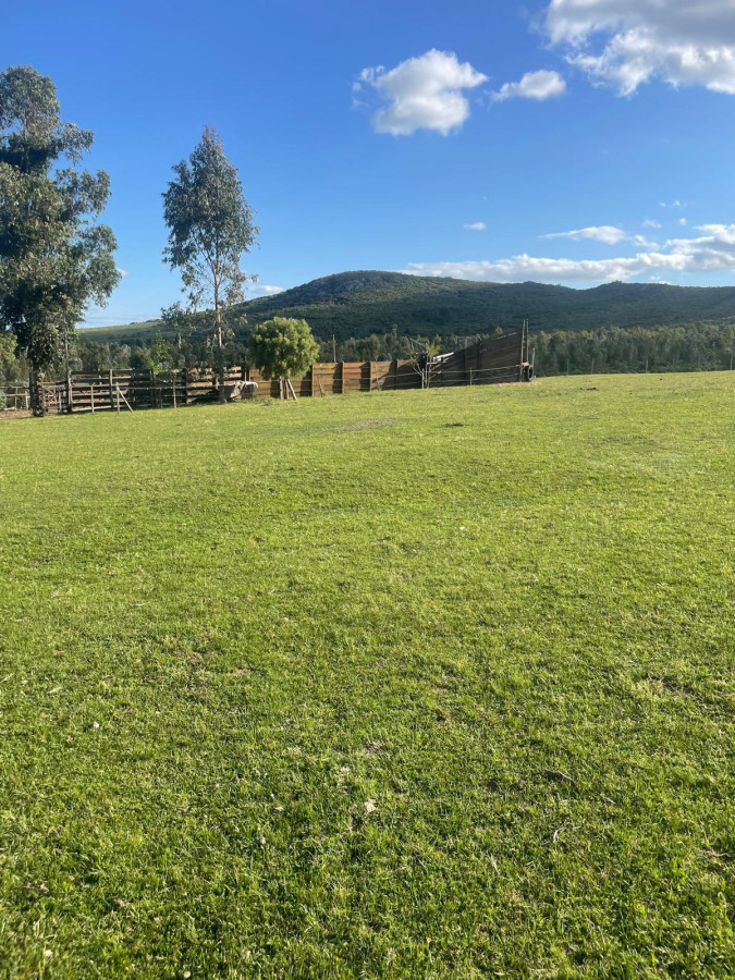Hermoso Campo de 53 hectáreas

Descubre un exclusivo campo ganadero a solo 4 km de Pan de Azúcar, donde la tranquilidad y la naturaleza se entrelazan en un entorno privilegiado. Este terreno ofrece una oportunidad única para aquellos que buscan un espacio para desarrollar su proyecto agrícola o ganadero, o simplemente un lugar para desconectar y disfrutar de la belleza del paisaje uruguayo.

Con acceso a rutas principales y servicios cercanos, esta propiedad combina la serenidad del campo con la comodidad de la cercanía a la ciudad. 
Su topografía y recursos naturales son ideales para la cría de ganado y el cultivo, brindando un potencial significativo para inversionistas y emprendedores.

Padrón 1037 con 33 hectáreas y 4593mts2
Padrón 30131 con 19 hectáreas y 6687mts2

No dejes pasar esta oportunidad de invertir en un estilo de vida auténtico y sostenible. Consulta con nuestros asesores para más información y descubre cómo este campo puede convertirse en tu próximo gran proyecto.