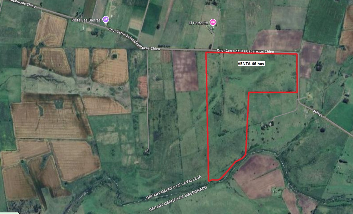 Descubre tu refugio en la naturaleza: Campo en Lavalleja.

Ubicado a solo 6 km aprox. de Solis de Mataojo y 1hr de Punta del Este, este encantador campo en Lavalleja te ofrece la oportunidad de conectar con la esencia del campo uruguayo. 46 hectáreas con 1.756mts con un índice CONEAT de 96, la tierra es ideal para el desarrollo agrícola o como un espacio para disfrutar de la tranquilidad y belleza natural que solo el interior del país puede ofrecer.
Excelente ubicación, atraviesa un caudal de agua - Arroyo Sauce. 

Imagina despertar cada mañana rodeado de paisajes serenos, donde el canto de los pájaros y el susurro del viento son tus únicos compañeros. Este terreno es perfecto para aquellos que buscan un lugar para construir su hogar soñado, un refugio de fin de semana o una inversión en el sector agropecuario.

Consulta con nuestros asesores para obtener más información.