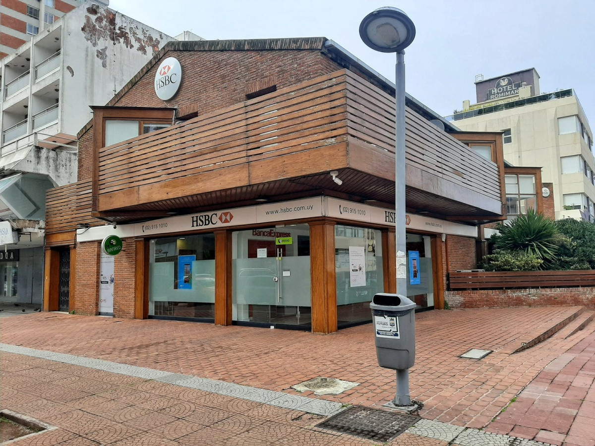 **Oportunidad Única: Local Comercial en la calle principal de Punta del Este**

Descubra el potencial de este amplio local de 540m² ubicado en una de las zonas más transitadas y estratégicas de la ciudad. Ideal para emprendedores y empresarios que buscan establecer su negocio en un entorno dinámico y en constante crecimiento.

Este espacio versátil ofrece una distribución funcional, permitiendo múltiples configuraciones según las necesidades de su proyecto. Con grandes ventanales que garantizan una excelente luminosidad y visibilidad, su negocio atraerá la atención de clientes potenciales desde el primer momento.

La propiedad se encuentra rodeada de una variada oferta comercial, servicios y transporte público, lo que la convierte en un punto de encuentro ideal para cualquier tipo de actividad. Además, cuenta con todas las comodidades necesarias para un funcionamiento óptimo.

No deje pasar esta oportunidad de inversión. **Consulte con nuestros asesores** para obtener más información y agendar una visita. ¡Su futuro negocio comienza aquí!