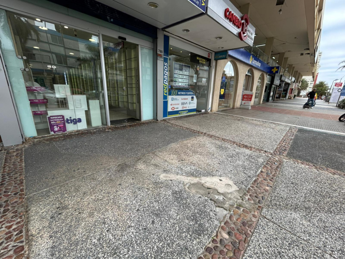  Oportunidad Única en la Península: Local Comercial de 180 m²

Descubra el potencial de este amplio local de 180 m², ubicado en el corazón de la Península de Punta del Este. Este espacio versátil es ideal para emprendedores que buscan establecer su negocio en una de las zonas más codiciadas de la costa uruguaya.

Con una ubicación estratégica, este local ofrece una excelente visibilidad y un alto flujo de turistas y residentes, lo que lo convierte en la opción perfecta para cualquier tipo de comercio o servicio. Su diseño abierto permite múltiples configuraciones, adaptándose a las necesidades de su proyecto.

No pierda la oportunidad de invertir en un espacio que promete un retorno significativo. Consulte con nuestros asesores para obtener más información y coordinar una visita. ¡Su futuro negocio en Punta del Este comienza aquí!