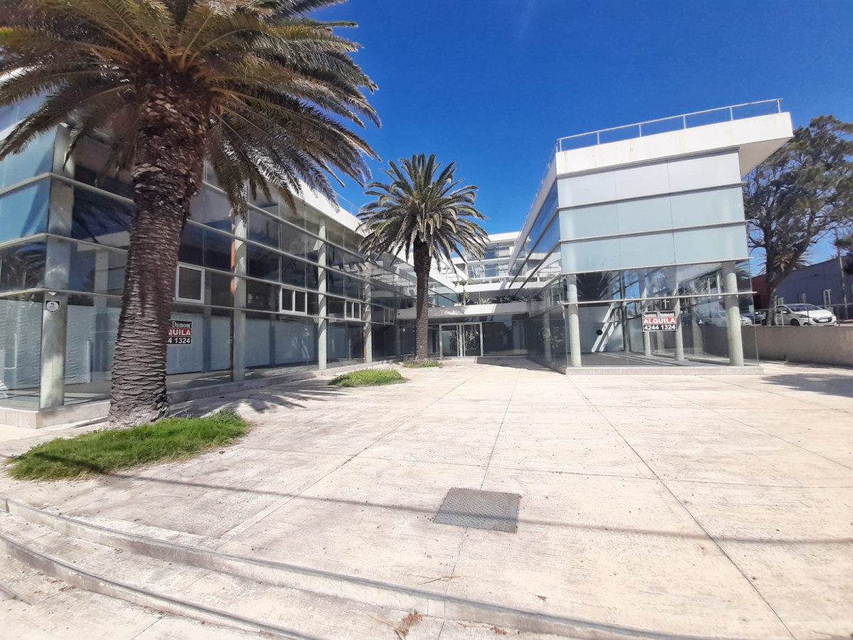  Oportunidad Única en la Península: Local Comercial de 600 m²

Descubra el potencial de este amplio local de 600 m², situado en el corazón de la Península de Punta del Este, una de las zonas más emblemáticas y transitadas de la ciudad. Este espacio versátil se presenta como la opción ideal para emprendedores que buscan establecer su negocio en un entorno dinámico y atractivo.

Con una ubicación estratégica, este local ofrece visibilidad y acceso a un flujo constante de turistas y residentes, garantizando un alto nivel de exposición. Su generosa superficie permite múltiples configuraciones, adaptándose a diversas necesidades comerciales.

**Características destacadas:**
- Superficie total: 600 m²
- Ubicación privilegiada en la Península
- Alto tránsito peatonal y vehicular
- Posibilidad de personalización del espacio

No pierda la oportunidad de invertir en un local que promete ser un punto de referencia en la zona. Para más información y consultas, no dude en contactar a nuestros asesores, quienes estarán encantados de ayudarle a concretar su proyecto. ¡Su futuro comienza aquí!