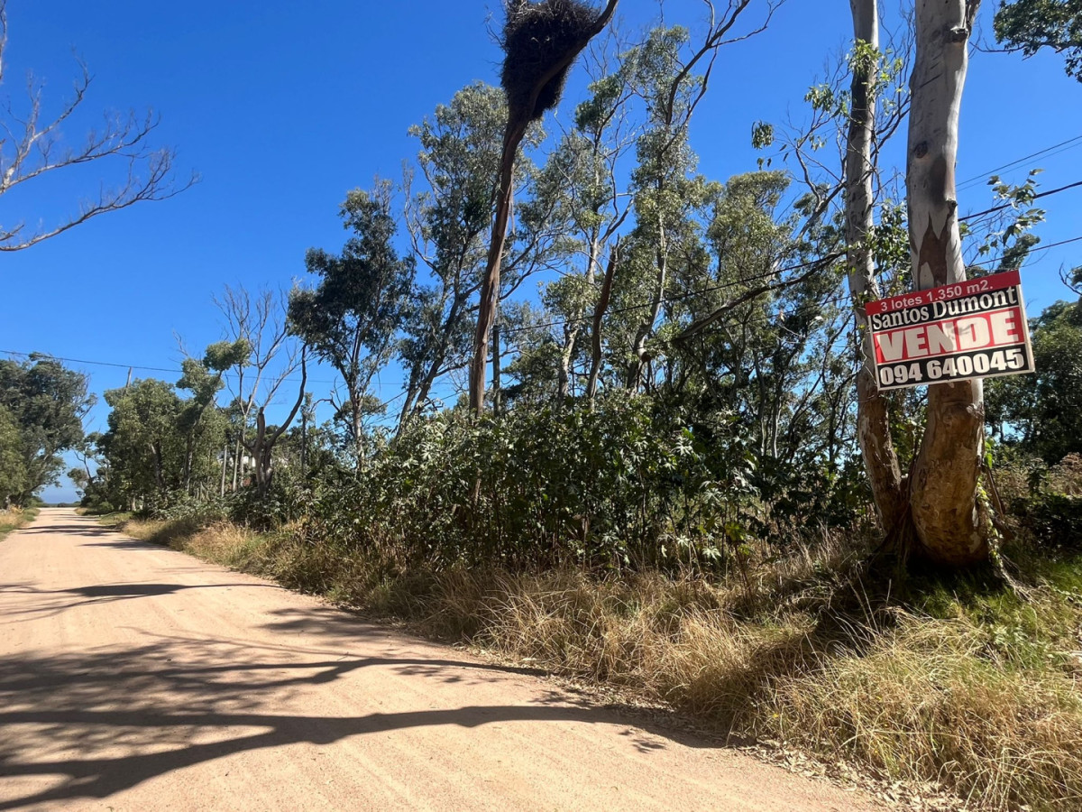 3 Lotes en Venta - Balneario Buenos Aires. Calle 20

Cada uno de 450 mts2.
15mts2 de frente x 30 mts2 de fondo.

Padrón 3551
Padrón 3552
Padrón 3553

SE VENDEN TODOS JUNTOS.

Por mas información, consulte con nuestros asesores.