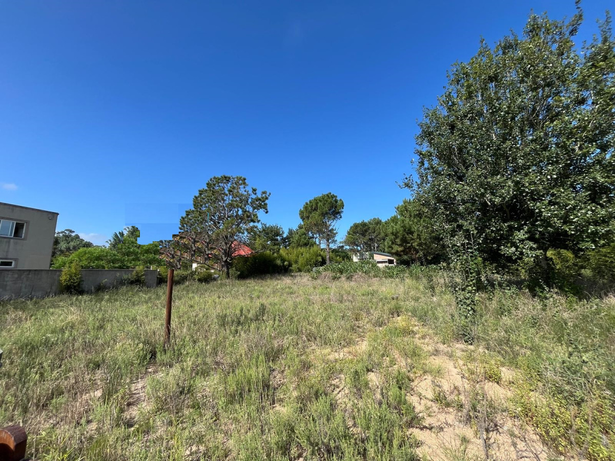 EXCELENTES LOTES LINDEROS A LA VENTA

Ubicados a  300 metros del Mar. 
Padrón 1122 y padrón 1123.
15mts de frente aprox. cada lote.

Padrón 1122 - 675mts2 - U$S 110.000
Padrón 1123 - 630mts2 - U$S 105.000

METRAJE TOTAL AMBOS LOTES: 1.305 mts2.
Se venden juntos o por separado.

Consulte con nuestros asesores.