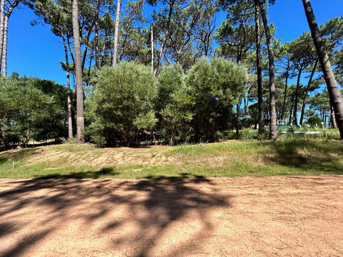 Excelente lote en Reserva Montoya

1.000mts2 de terreno.
Excelente entorno.

400 m de costa sobre laguna blanca
-Seguridad 24 horas
-Área de Deportes
-Muelle
-Club House

Consulte con nuestros asesores.