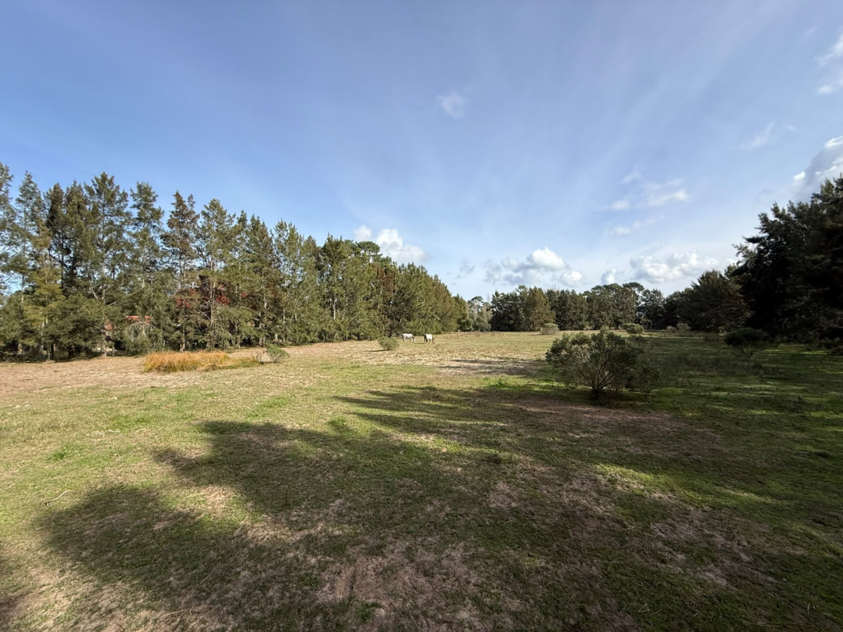  Oportunidad Única en Marly: Terrenos de 1.000 a 1224 m² para Construir tus Sueños

Precios desde 150.000 USD
150 USD el mt2

Descubre el potencial de este fraccionamiento que cuenta con amplios terrenos de 1000 a 1224 m², ubicados en la codiciada zona de Marly, Punta del Este. En particular este esquinero de 1224m2 cuenta con un generoso frente de 27 metros y un fondo de 26 metros, este espacio ofrece la versatilidad que necesitas para diseñar la casa de tus sueños o un proyecto de inversión.

La ubicación privilegiada de Marly te brinda acceso a las mejores playas, restaurantes y servicios de la región, garantizando un estilo de vida excepcional. Imagina disfrutar de la tranquilidad y belleza natural que este entorno ofrece, mientras estás a solo minutos del vibrante centro de Punta del Este.

No dejes pasar esta oportunidad. Consulta con nuestros asesores para obtener más información y dar el primer paso hacia tu nuevo hogar o inversión en el corazón de uno de los destinos más exclusivos de Uruguay. ¡Tu futuro comienza aquí!