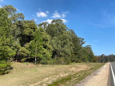 Chacra campo 30 hectareas en venta Laguna del Sauce sobre ruta 12