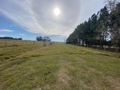 Chacra de 6 hectareas en venta Zona Rural Jose Ignacio