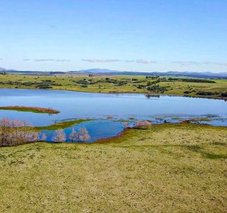 24 hectareas Chacra con 500 metros de costa Laguna del Sauce