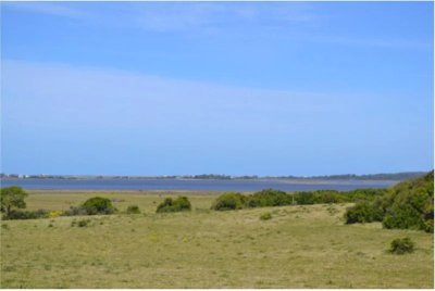 CHACRA DE 5 HECTAREAS SOBRE LA LAGUNA JOSE IGNACIO