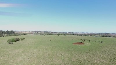 Campo de 32 has con aptitud para Cantera de Arena a 1 minuto de San Carlos