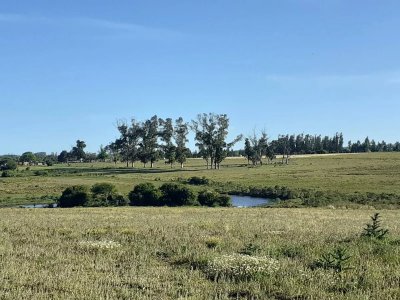 Chacra campo en venta de 24 hectareas Ruta 104 La Barra