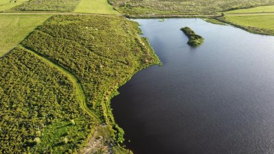 Chacra de 5 hectareas en zona Laguna del Sauce 