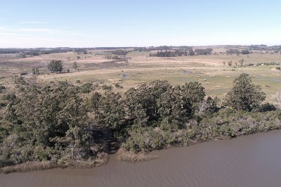 Chacra campo en venta Camino Eguzquiza 132 Hectareas