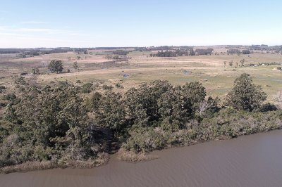 Chacra campo en venta Camino Eguzquiza 132 Hectareas