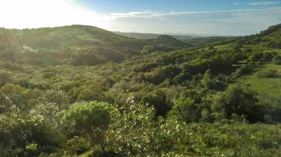 Chacra 35 Hás. en un Lugar excepcional; entre Maldonado y Minas! Sierra del Carapé