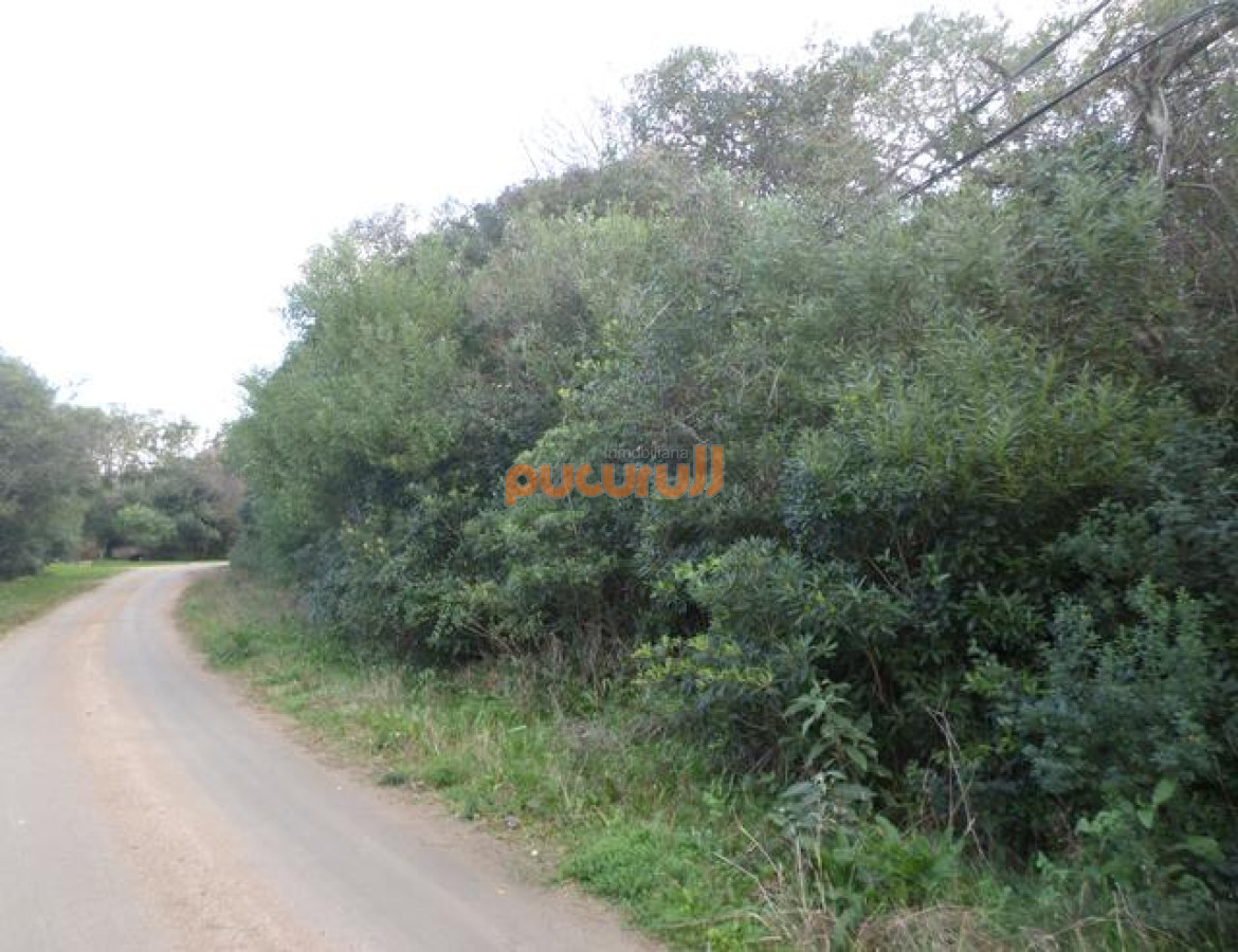 Rinconada - GoPunta - Portal Inmobiliario de Punta del Este - Maldonado