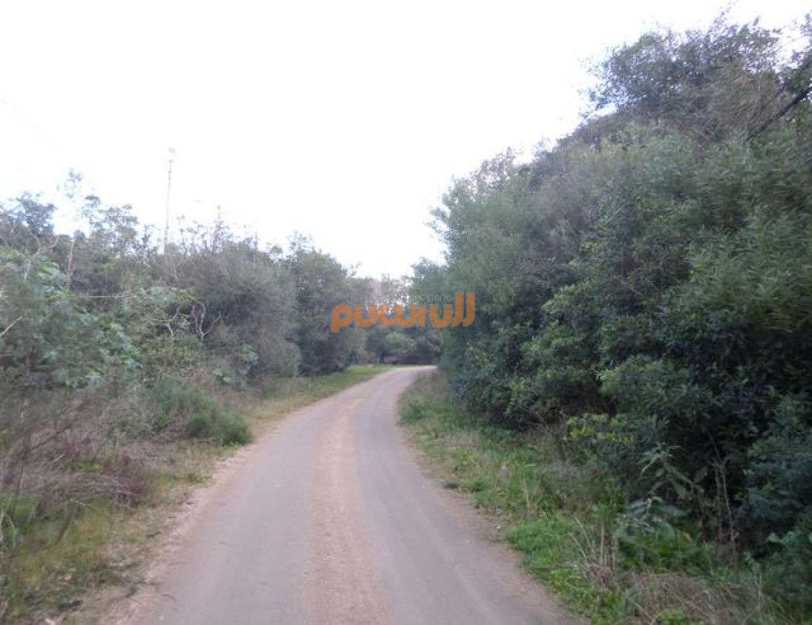 Rinconada - GoPunta - Portal Inmobiliario de Punta del Este - Maldonado