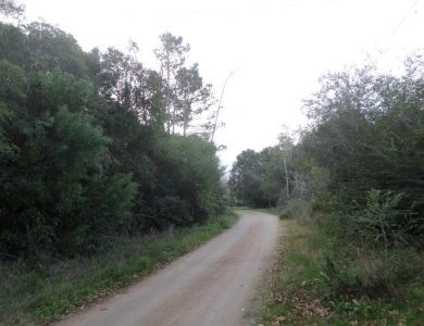 Terreno en Punta Ballena, Rinconada