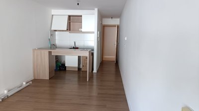 ALQUILER, MONOAMBIENTE CON TERRAZA, POCITOS