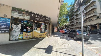 Venta , local comercial con renta 