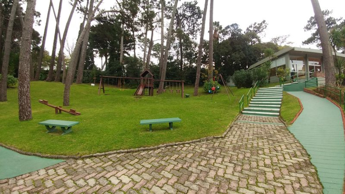 Green Leaves Arrayan 