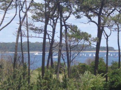 Apartamento de un dormitorio en venta en Punta del Este