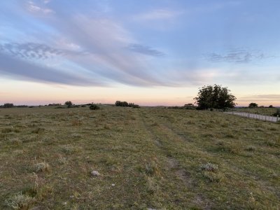 Venta de Chacra de 8 hectareas en Garzón