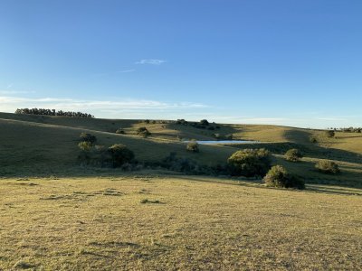 Venta de chacra de 6 Hectareas en Garzón