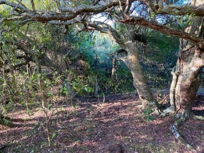 Venta de chacra con lago en Garzon