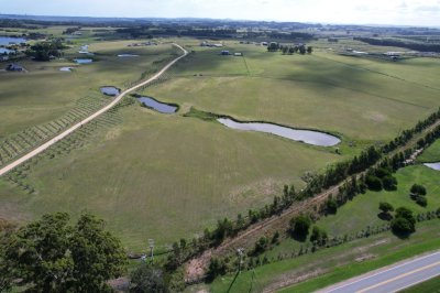 Venta de Chacra Ruta 104
