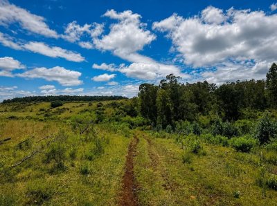 Salus Valle De Fortaleza | Campo Híbrido Estratégico Con Potencial Forestal, Turístico Y Ganadero
