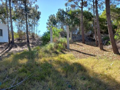 VENTA DE TERRENO EN ROCHA- La Esmeralda