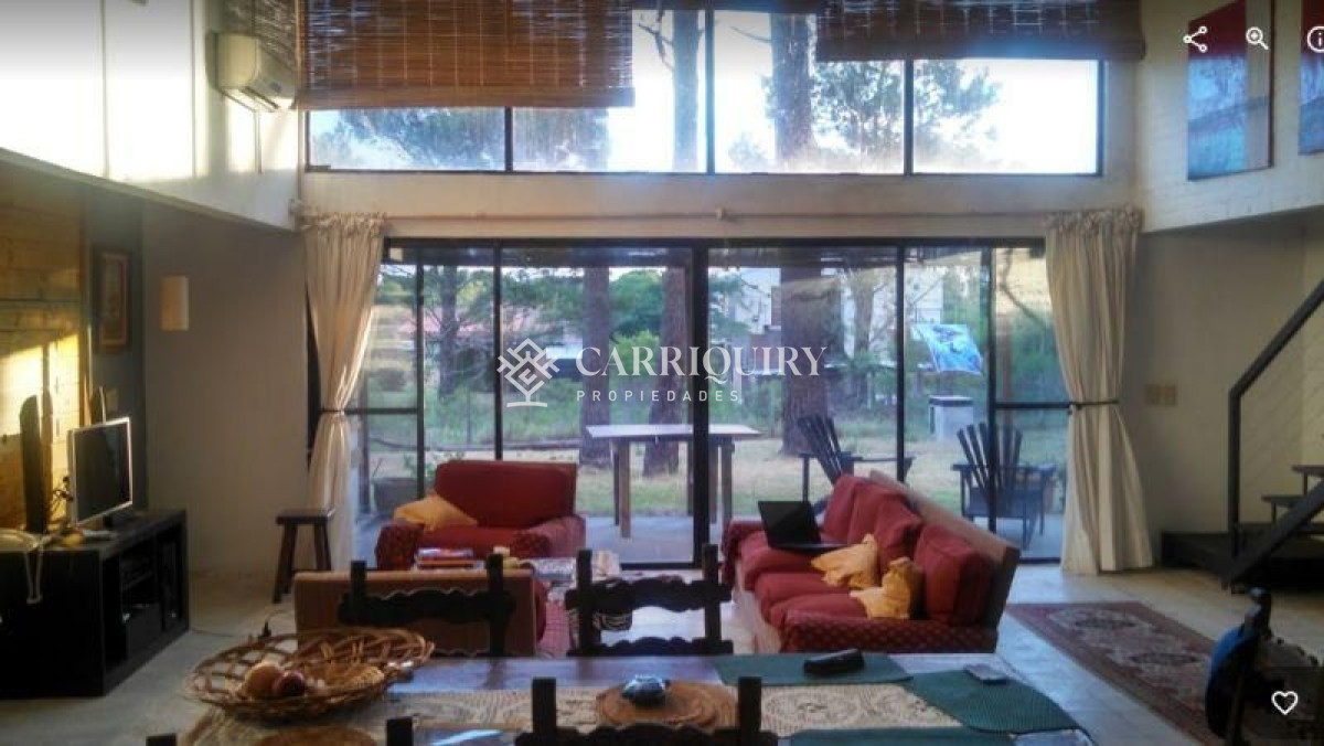 Chihuahua - GoPunta - Portal Inmobiliario de Punta del Este - Maldonado