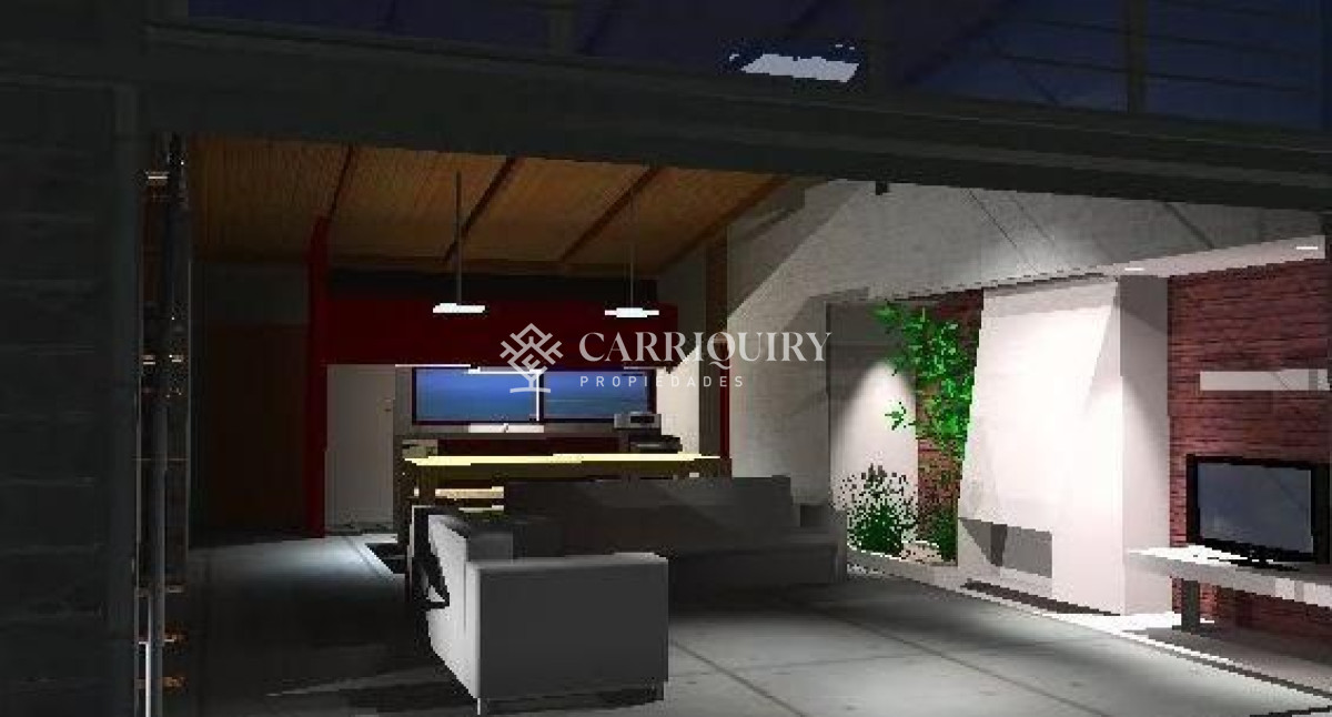 Chihuahua - GoPunta - Portal Inmobiliario de Punta del Este - Maldonado