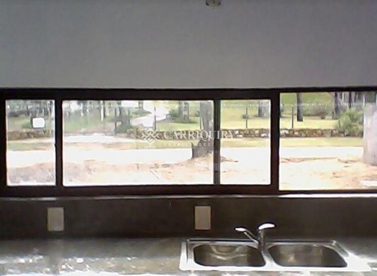 Chihuahua - GoPunta - Portal Inmobiliario de Punta del Este - Maldonado