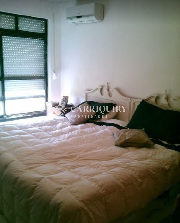 Chihuahua - GoPunta - Portal Inmobiliario de Punta del Este - Maldonado