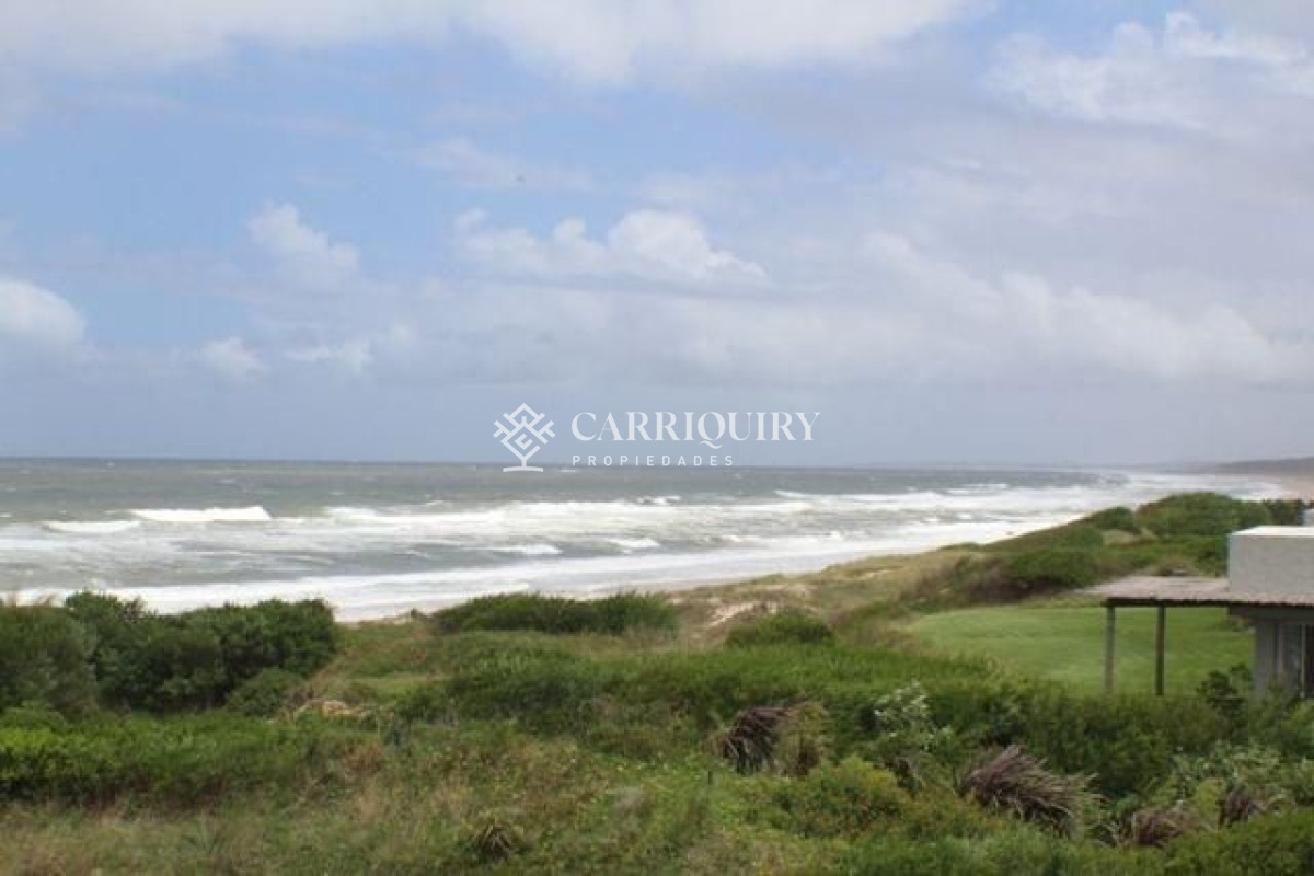 Tio Tom - GoPunta - Portal Inmobiliario de Punta del Este - Maldonado