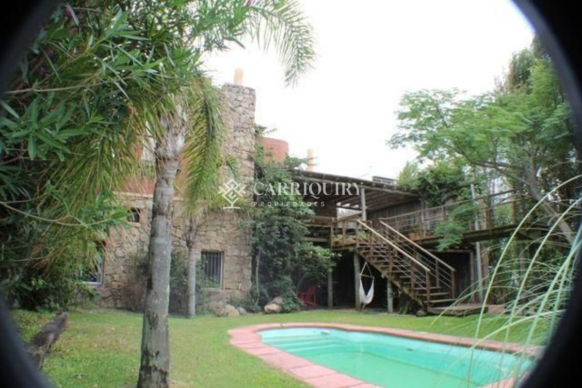 Tio Tom - GoPunta - Portal Inmobiliario de Punta del Este - Maldonado