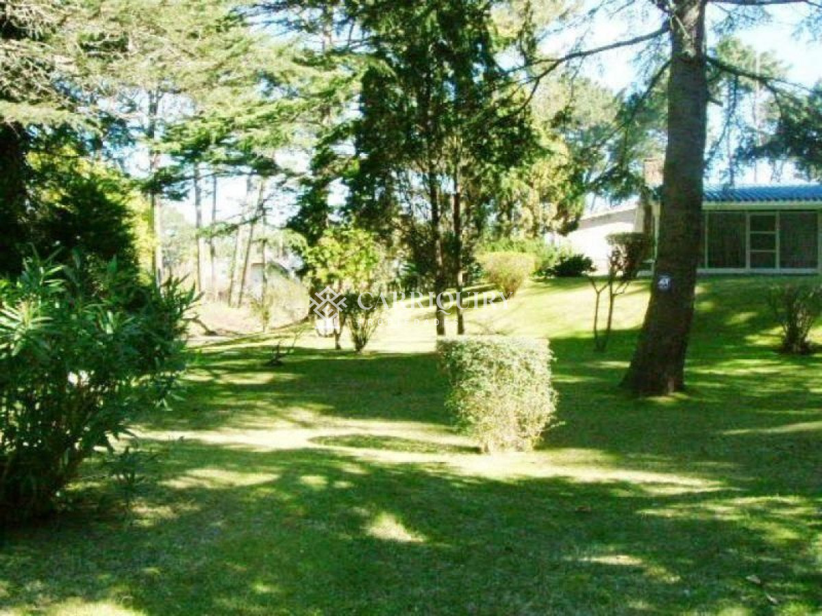 Lugano - GoPunta - Portal Inmobiliario de Punta del Este - Maldonado