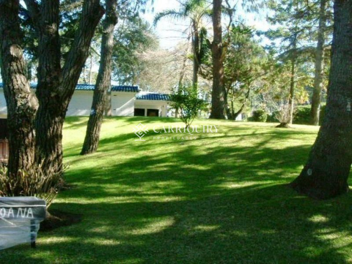 Lugano - GoPunta - Portal Inmobiliario de Punta del Este - Maldonado