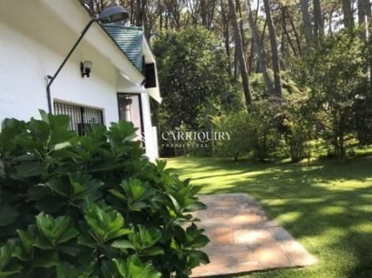 Lugano - GoPunta - Portal Inmobiliario de Punta del Este - Maldonado