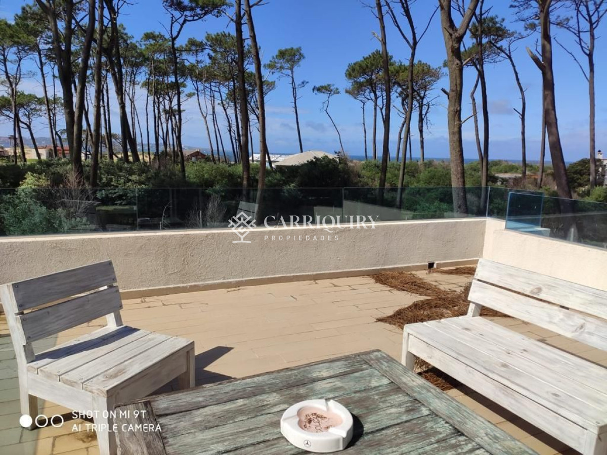 Sauce de Portezuelo - GoPunta - Portal Inmobiliario de Punta del Este - Maldonado
