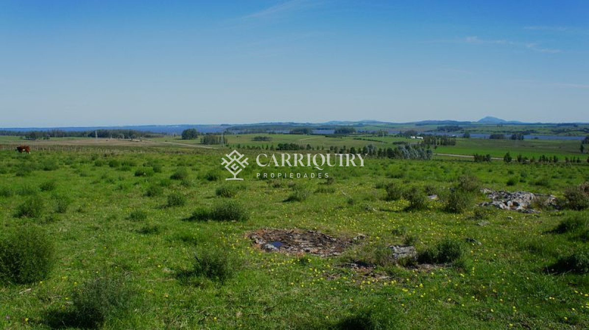 Laguna del Sauce - GoPunta - Portal Inmobiliario de Punta del Este - Maldonado