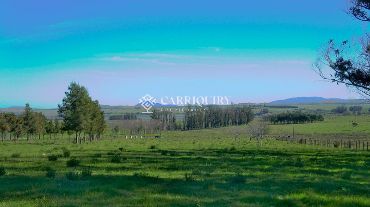 Laguna del Sauce - GoPunta - Portal Inmobiliario de Punta del Este - Maldonado